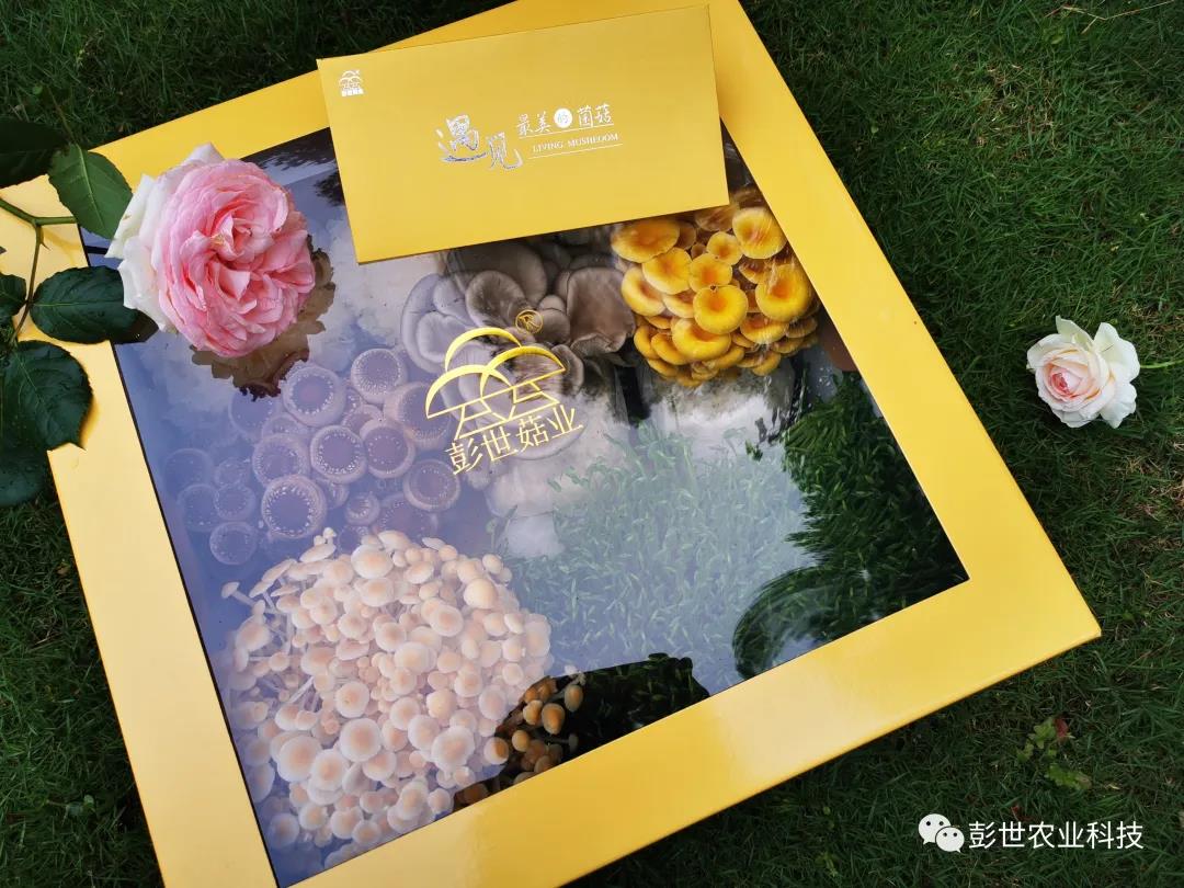 1589873447913725.jpg 微信圖片_4.jpg