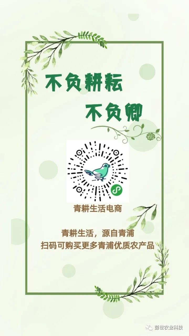 1589873489593853.jpg 微信圖片_6.jpg